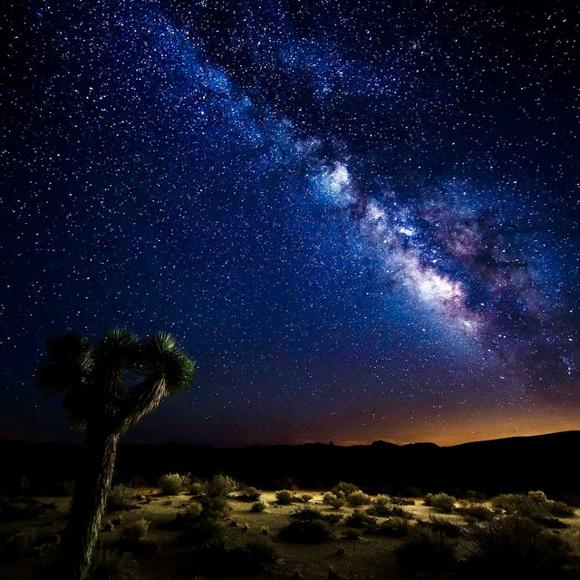 Desert Nights Volume 2