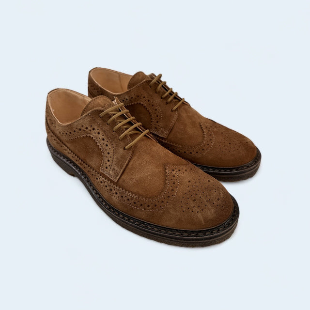 Astorflex Rondiflex Longwing Brogue Shoe - Havana