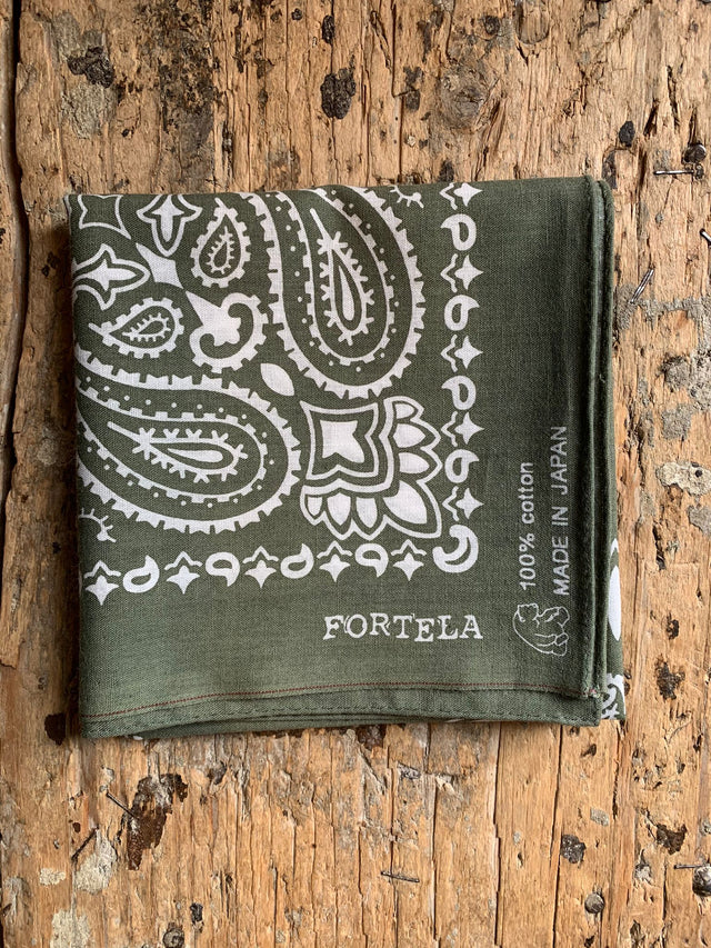 Fortela Paisley Bandana - Green