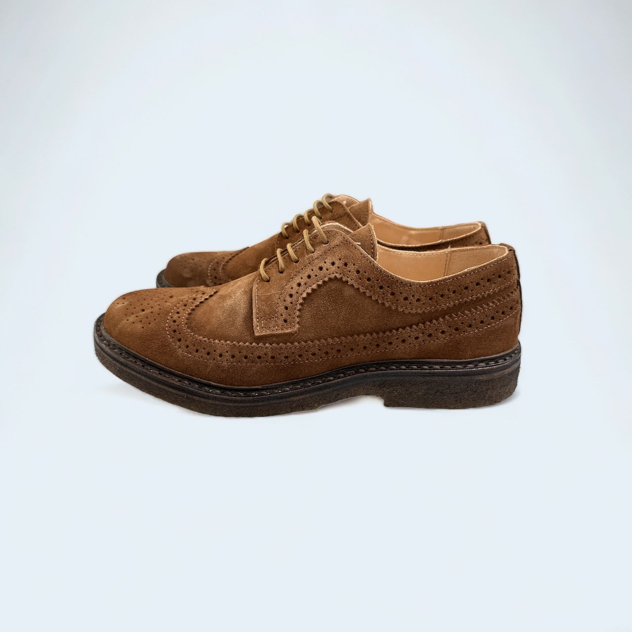 Astorflex Rondiflex Longwing Brogue Shoe Havana modernclassicshop